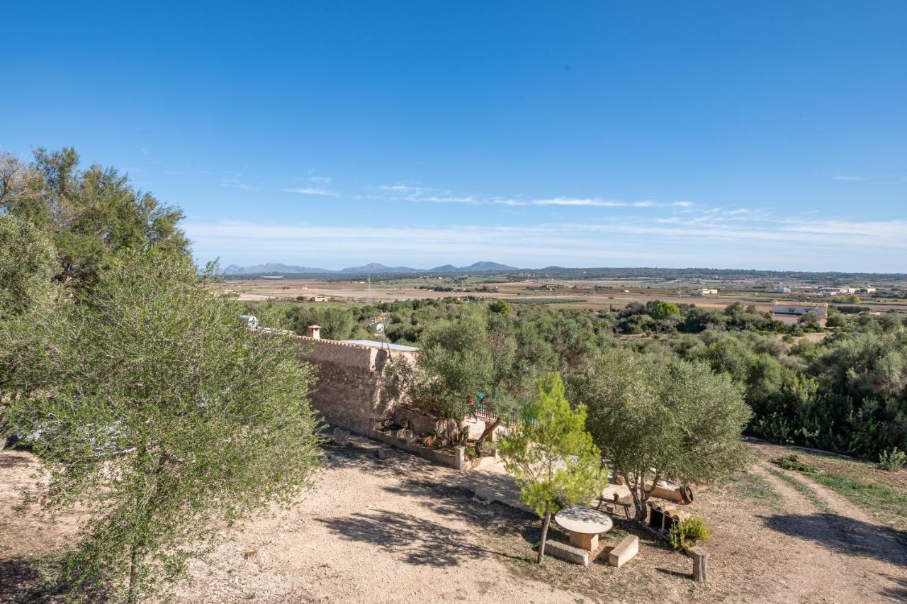 Son Pusseta Villa Petra  Exterior photo